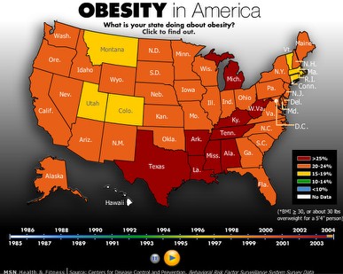 Fat Statistics In America 14